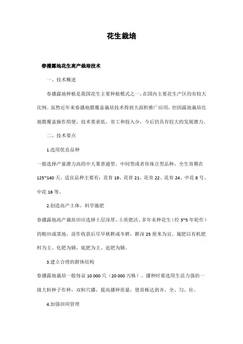 花生栽培
