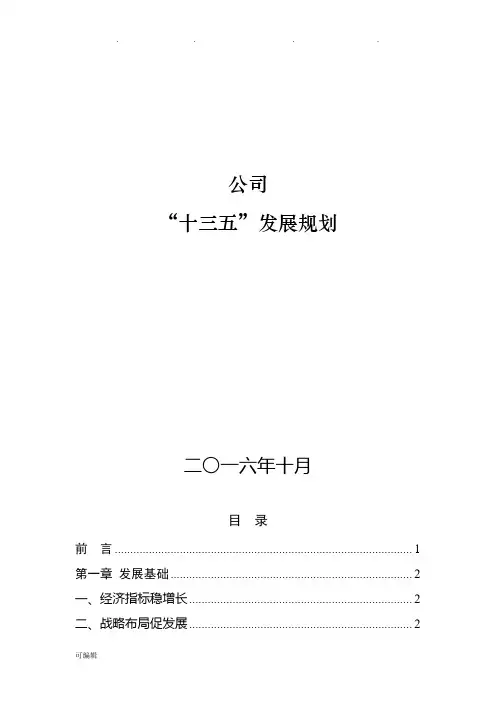 公司“十三五”发展规划报告