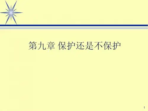 第九章 保护还是不保护
