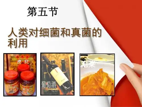八年级上册生物5.4.5人类对细菌和真菌的利用课件