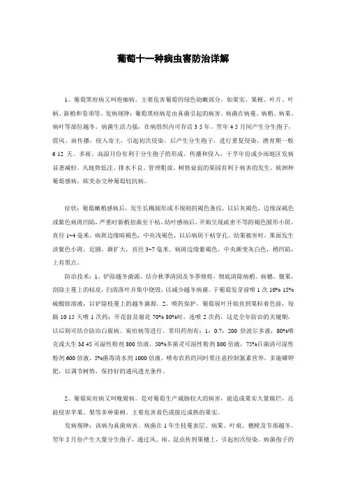 葡萄十一种病虫害防治详解