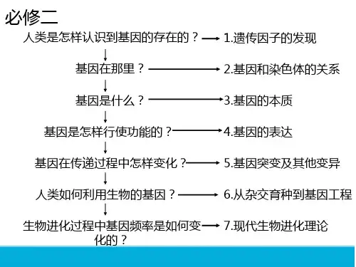 孟德尔的豌豆杂交实验一ppt