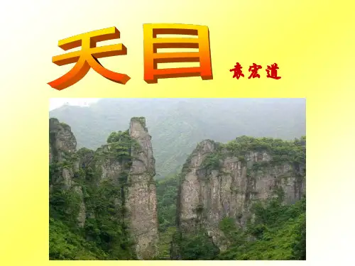 天目