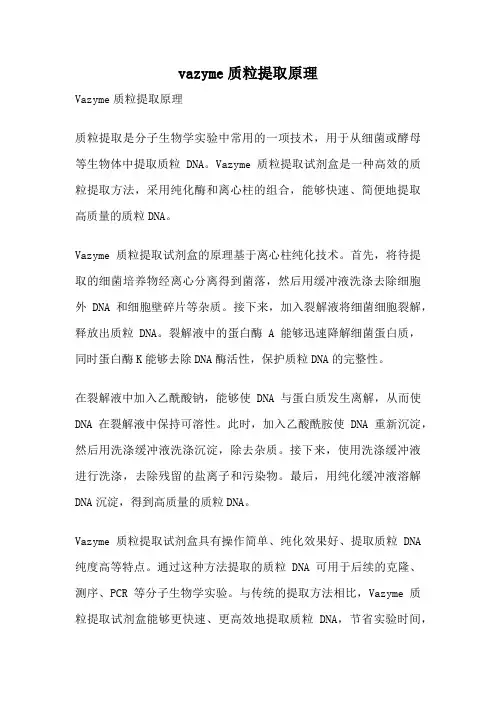 vazyme质粒提取原理