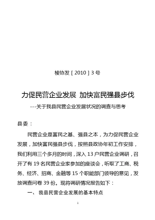 民营企业调研报告