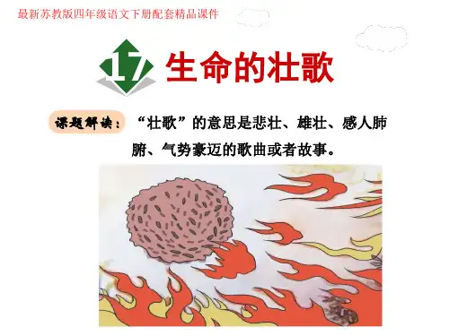 生命的壮歌PPT课件
