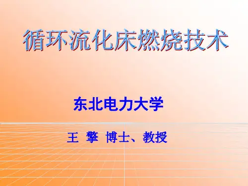 循环流化床讲义PPT课件