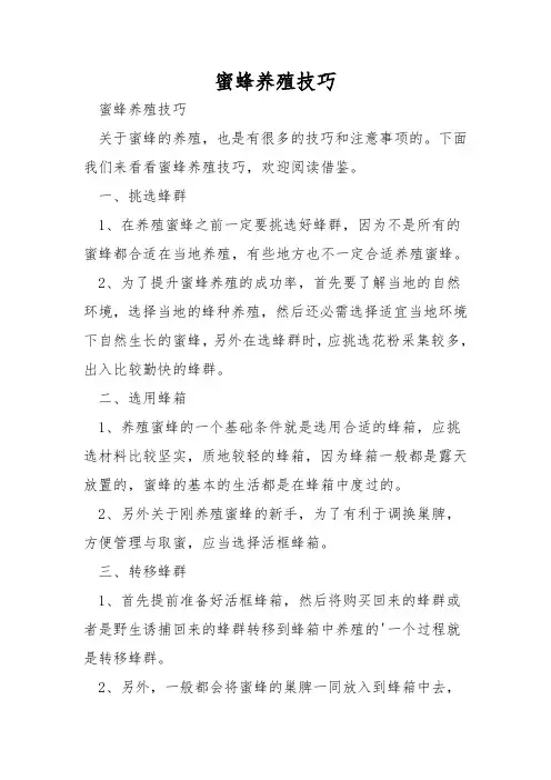 蜜蜂养殖技巧