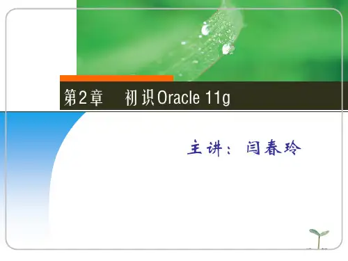 Oracle11g教程(第2章-初识Oracle11g-共11章)