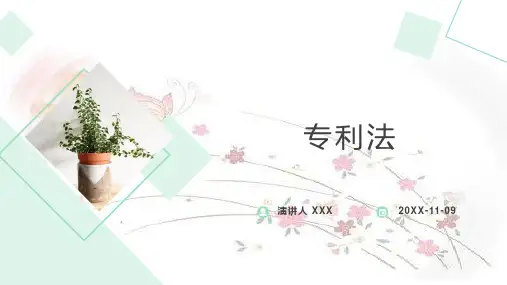 专利法大全(讲座培训课件)