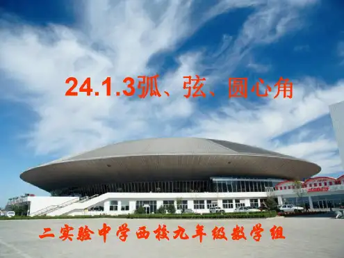 弧弦圆心角[上学期]--华师大版