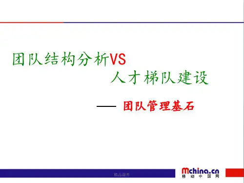 团队结构分析和人才梯队建设