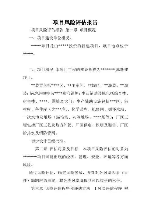 项目风险评估报告.doc