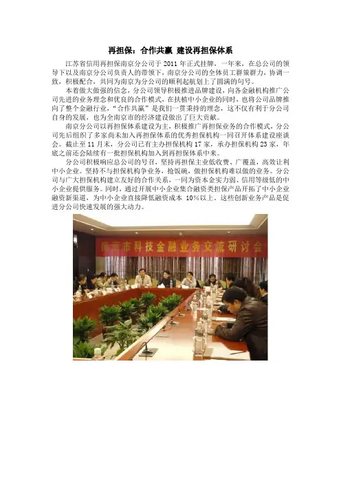 再担保：合作共赢 建设再担保体系