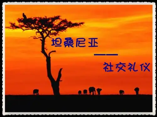坦桑尼亚