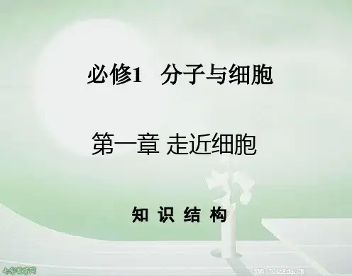 2020高考生物人教新课标1.1走近细胞知识研习