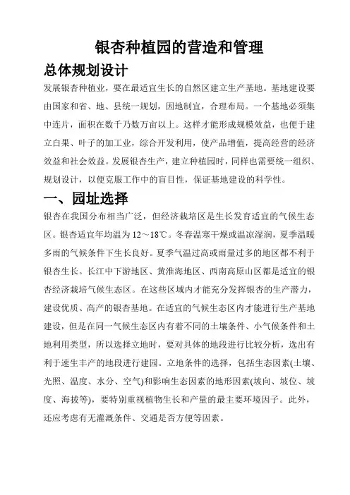 银杏种植园的营造和管理