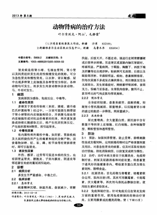 动物肾病的治疗方法