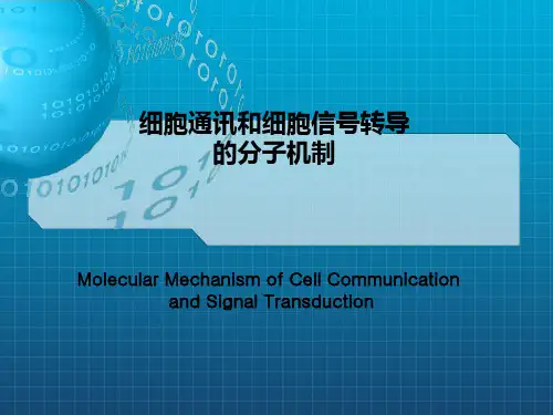 细胞通讯和细胞信号转导