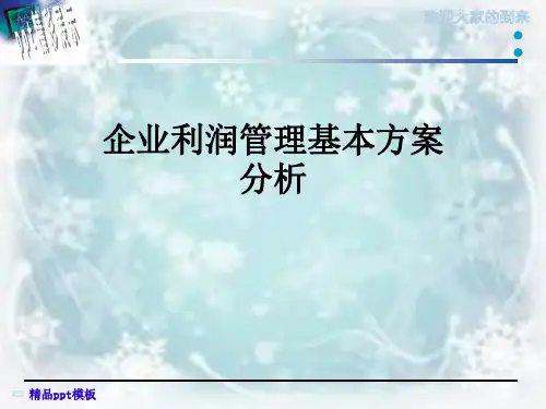 企业利润管理基本方案分析