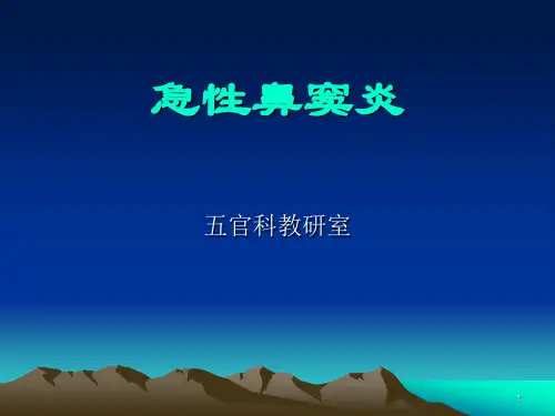 急性鼻窦炎PPT课件
