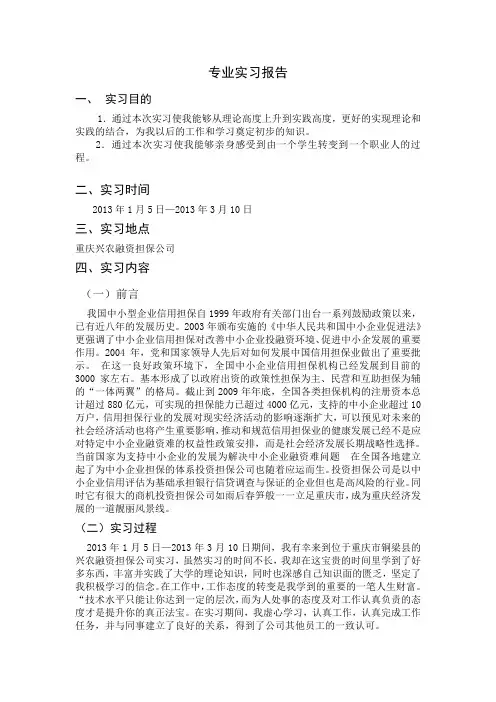 融资担保公司实习报告