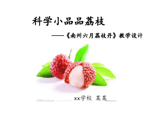 南州六月荔枝丹说课课件