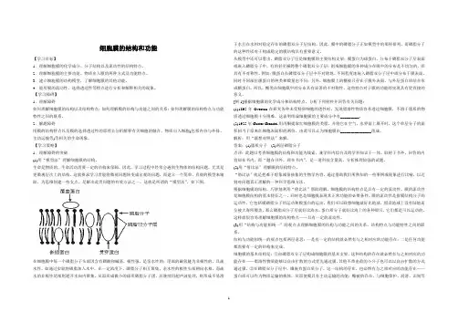 细胞膜的结构和功能