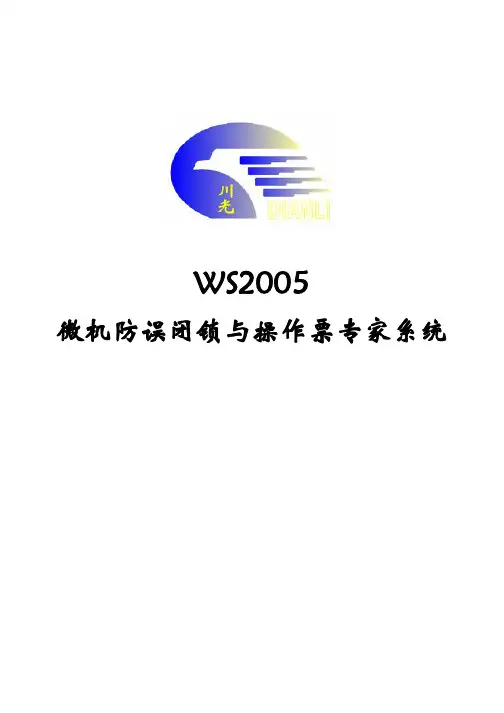 WS2005软件说明书