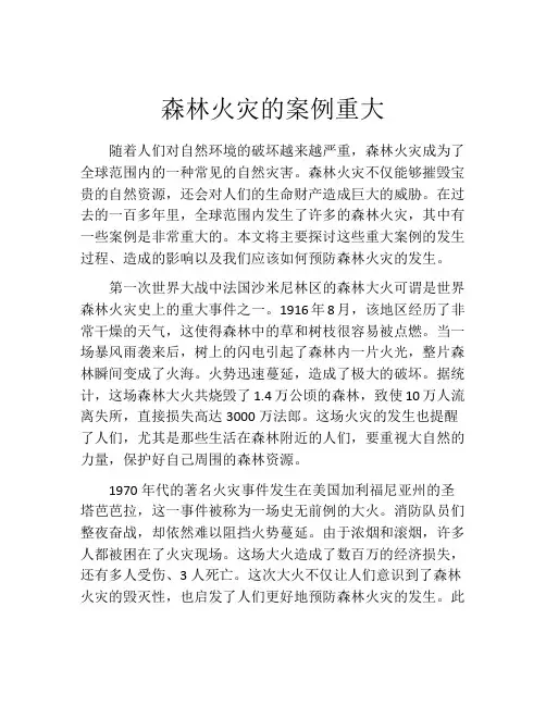 森林火灾的案例重大