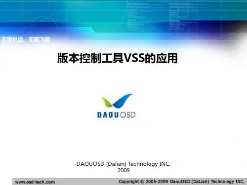 VSS使用指南