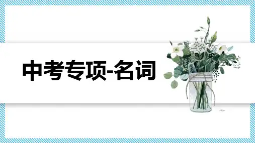 牛津译林中考复习-名词
