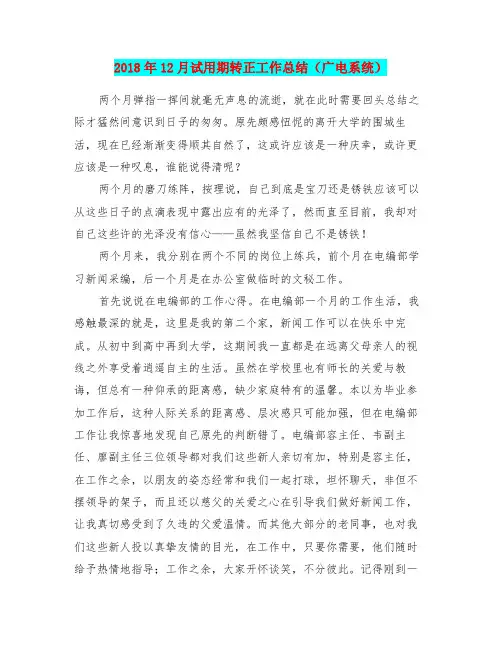 2018年12月试用期转正工作总结(广电系统)