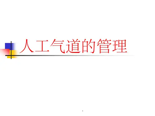 人工气道的管理ppt