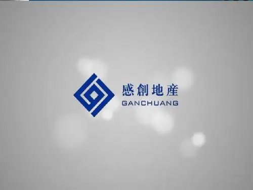 万豪华创新城销售执行方案2