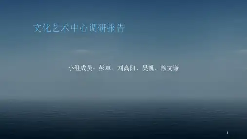 电影院调研报告-文档资料