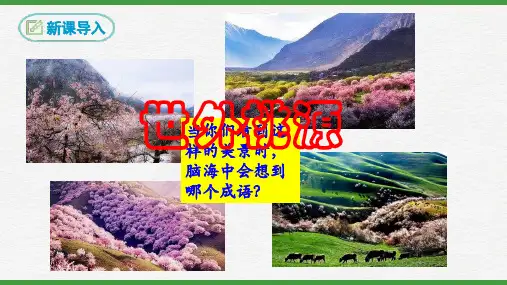 八年级下册人教部编版《桃花源记》课件