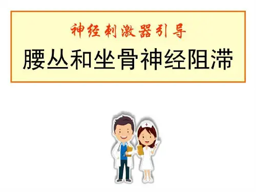 腰丛和坐骨神经阻滞PPT医学幻灯片共54页