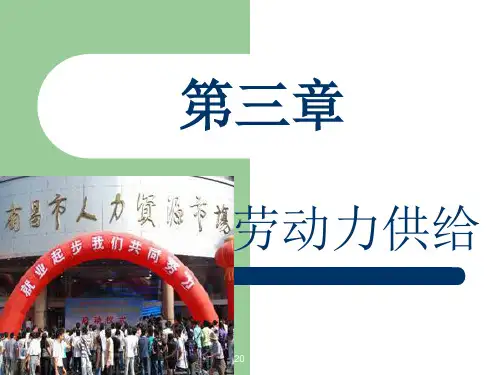 劳动经济学第三章PPT演示文稿