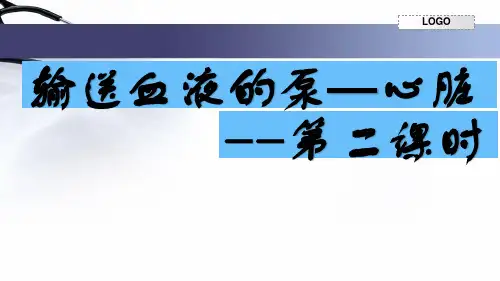 43输送血液的泵——心脏2-广东省河源市和丰中学人教版七年级生物下册课件(共15张PPT)