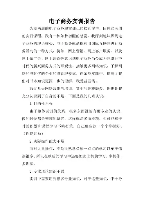 电子商务实训报告