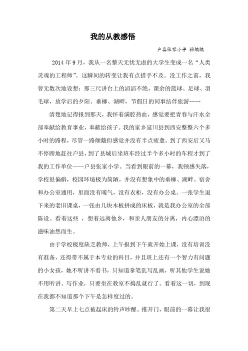 我的从教感悟