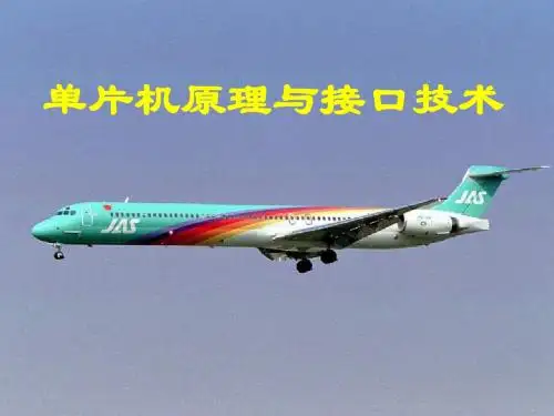 单片机原理与接口技术(第11章)