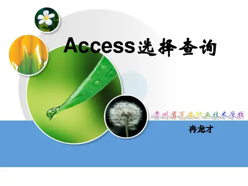 access选择查询说课课件