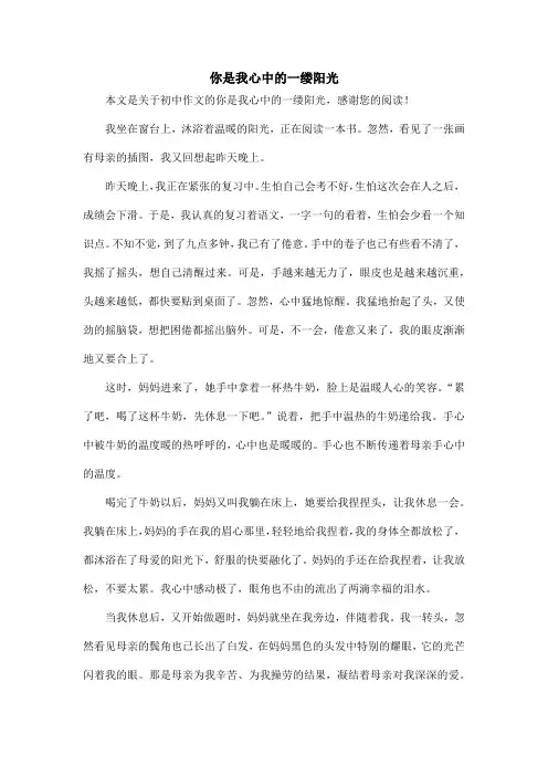 你是我心中的一缕阳光_初中作文