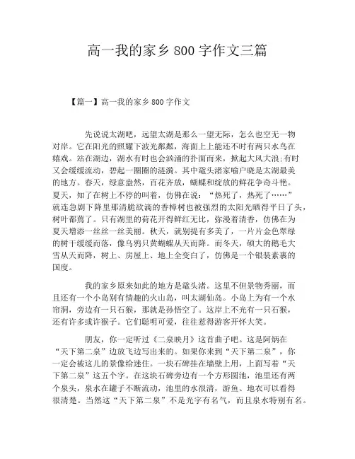 高一我的家乡800字作文三篇