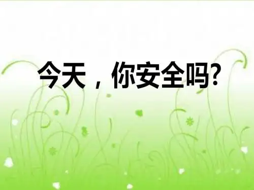 《今天-你安全吗》安全地生活PPT课件(新)