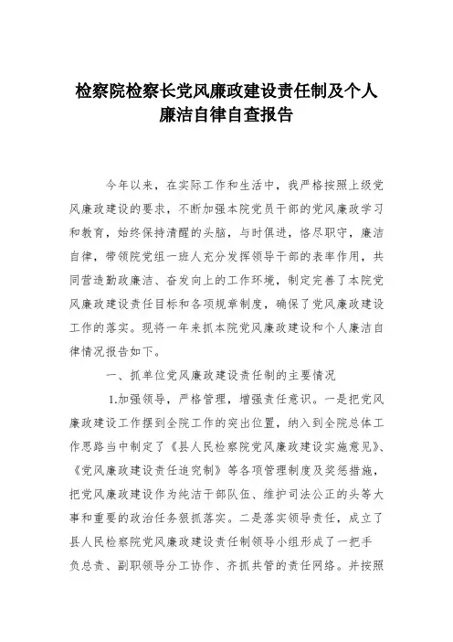 检察院检察长党风廉政建设责任制及个人廉洁自律自查报告