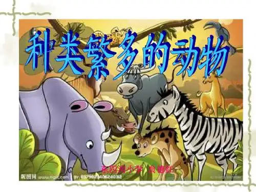 种类繁多的动物