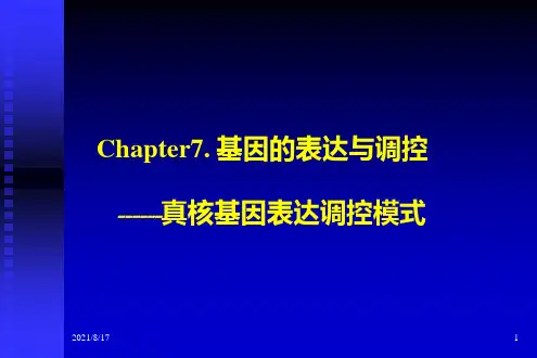 真核基因表达调控模式
